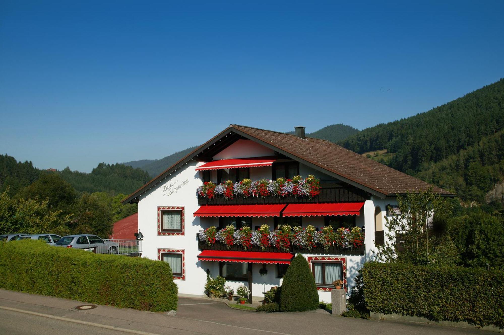 Haus Bergwiese Gasthof 4*